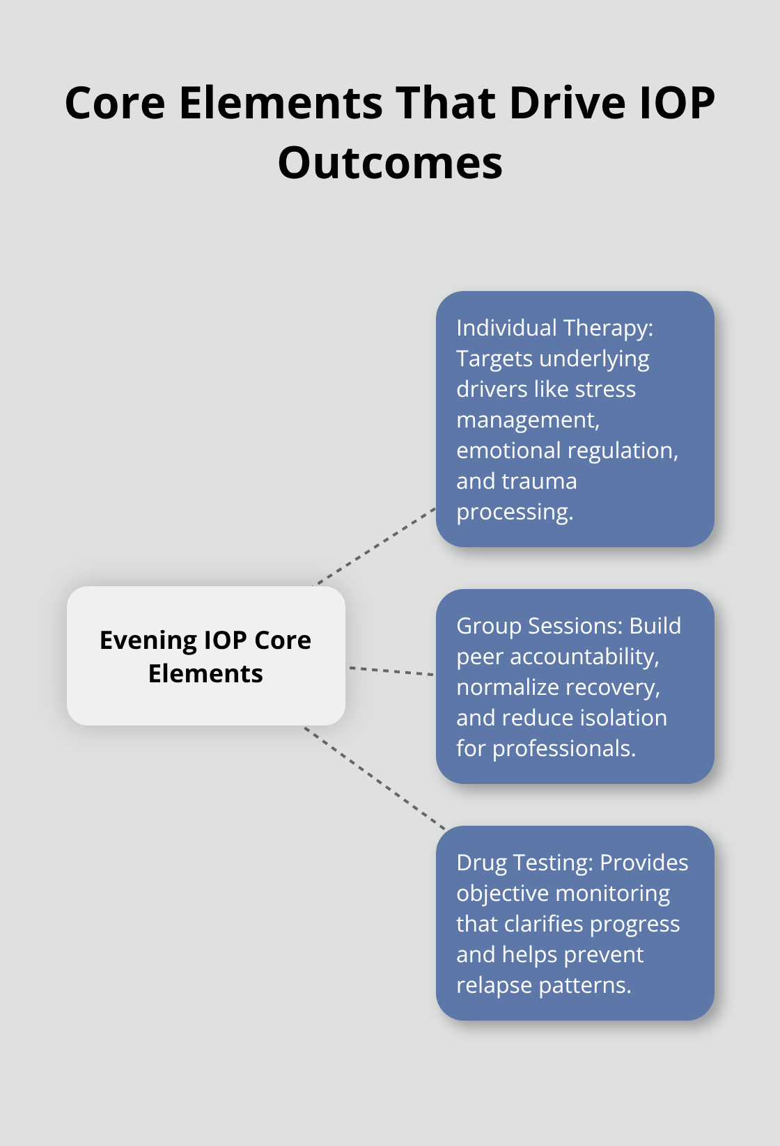 Hub-and-spoke diagram with Individual Therapy, Group Sessions, and Drug Testing as the core elements. - evening therapy for professionals